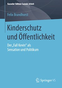 Kinderschutz und Öffentlichkeit - Felix Brandhorst - E-Book