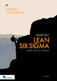 Lean Six Sigma Orange Belt - English version - ir. H.C. Theisens - E-Book