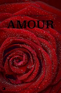Discours sur les passions de l’Amour - Blaise Pascal - E-Book