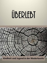 Überlebt - Marion Hein - E-Book