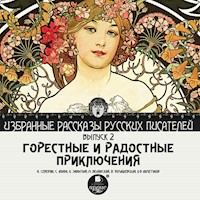 Горестные и радостные приключения - Н. Северин - Hörbuch