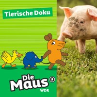 Die Maus, Tierische Doku - Tierheim Düren - Die Maus - Hörbuch