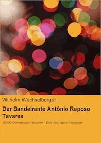 Der Bandeirante Antônio Raposo Tavares - Wilhelm Wechselberger - E-Book