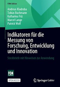 Indikatoren für die Messung von Forschung, Entwicklung und Innovation - Andreas Kladroba - kostenlos E-Book