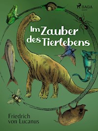 Im Zauber des Tierlebens - Friedrich von Lucanus - E-Book
