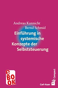 Einführung in systemische Konzepte der Selbststeuerung - Andreas Kannicht - E-Book