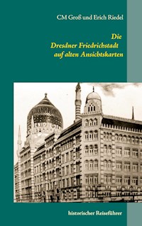 Die Dresdner Friedrichstadt auf alten Ansichtskarten - Erich Riedel - E-Book