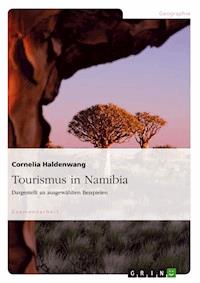 Tourismus in Namibia - Cornelia Haldenwang - E-Book