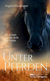 Unter Pferden - Angela Waidmann - E-Book
