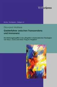 Geisterfahrer zwischen Transzendenz und Immanenz - Giovanni Maltese - E-Book