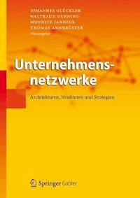 Unternehmensnetzwerke -  - E-Book