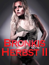 Bronkis Herbst II - Herbert Seidler - E-Book