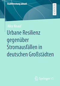 Urbane Resilienz gegenüber Stromausfällen in deutschen Großstädten - Alice Knauf - E-Book
