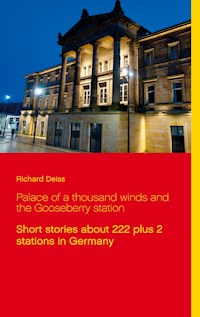 Palace of a thousand winds and the Gooseberry station - Richard Deiss - E-Book