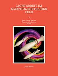 Lichtarbeit im morphogenetischen Feld - André Pasteur - E-Book