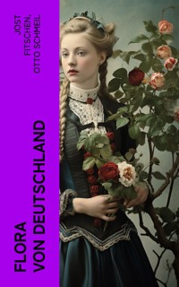 Flora von Deutschland - Jost Fitschen - E-Book
