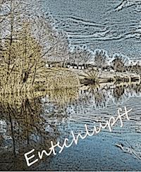 Entschlüpft - Cornelia Bienenstein-Hock - E-Book