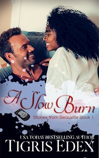 A Slow Burn - Tigris Eden - E-Book