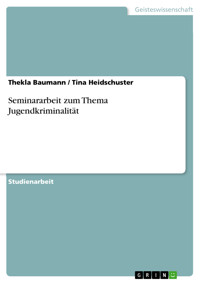 Seminararbeit zum Thema Jugendkriminalität - Thekla Baumann - E-Book