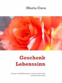 Geschenk Lebenssinn - Maria Cura - E-Book
