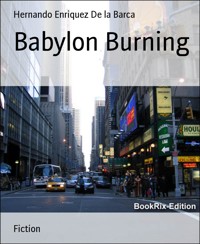Babylon Burning - Hernando Enriquez De la Barca - E-Book