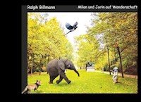 Milan und Jorin auf Wanderschaft - Ralph Billmann - E-Book