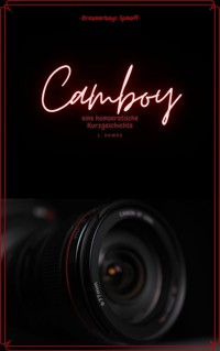 Camboy - L. Hawke - E-Book