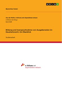 Bildung und Inanspruchnahme von Ausgaberesten im Haushaltsrecht. Ein Überblick - Maximilian Feistel - E-Book