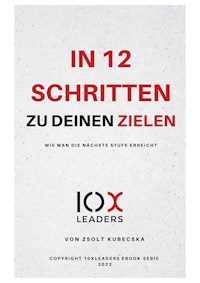 IN 12 SCHRITTEN ZU DEINEN ZIELEN - Zsolt Kubecska - E-Book