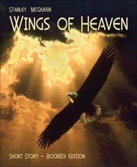 Wings of Heaven - Stanley Mcqueen - kostenlos E-Book