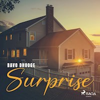 Surprise - Bavo Dhooge - Hörbuch