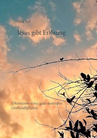 Jesus gibt Erlösung - Gitta Tost - E-Book