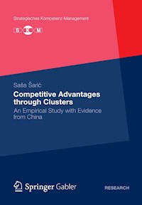 Competitive Advantages through Clusters - Saša Šarić - E-Book