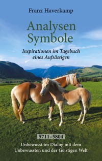 Analysen - Symbole 5711-5804 - Franz Haverkamp - E-Book