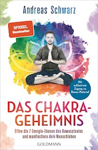 Das Chakra-Geheimnis - Andreas Schwarz - E-Book