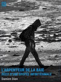 L'Arpenteur de la Baie - Damien Dion - E-Book