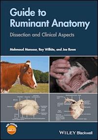 Guide to Ruminant Anatomy - Mahmoud Mansour - E-Book