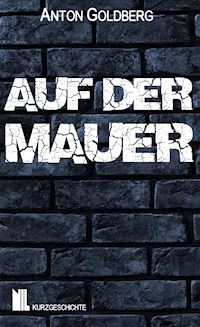 Auf der Mauer - Anton Goldberg - kostenlos E-Book