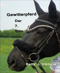 Gewitterpferd - Betty J. Viktoria - E-Book