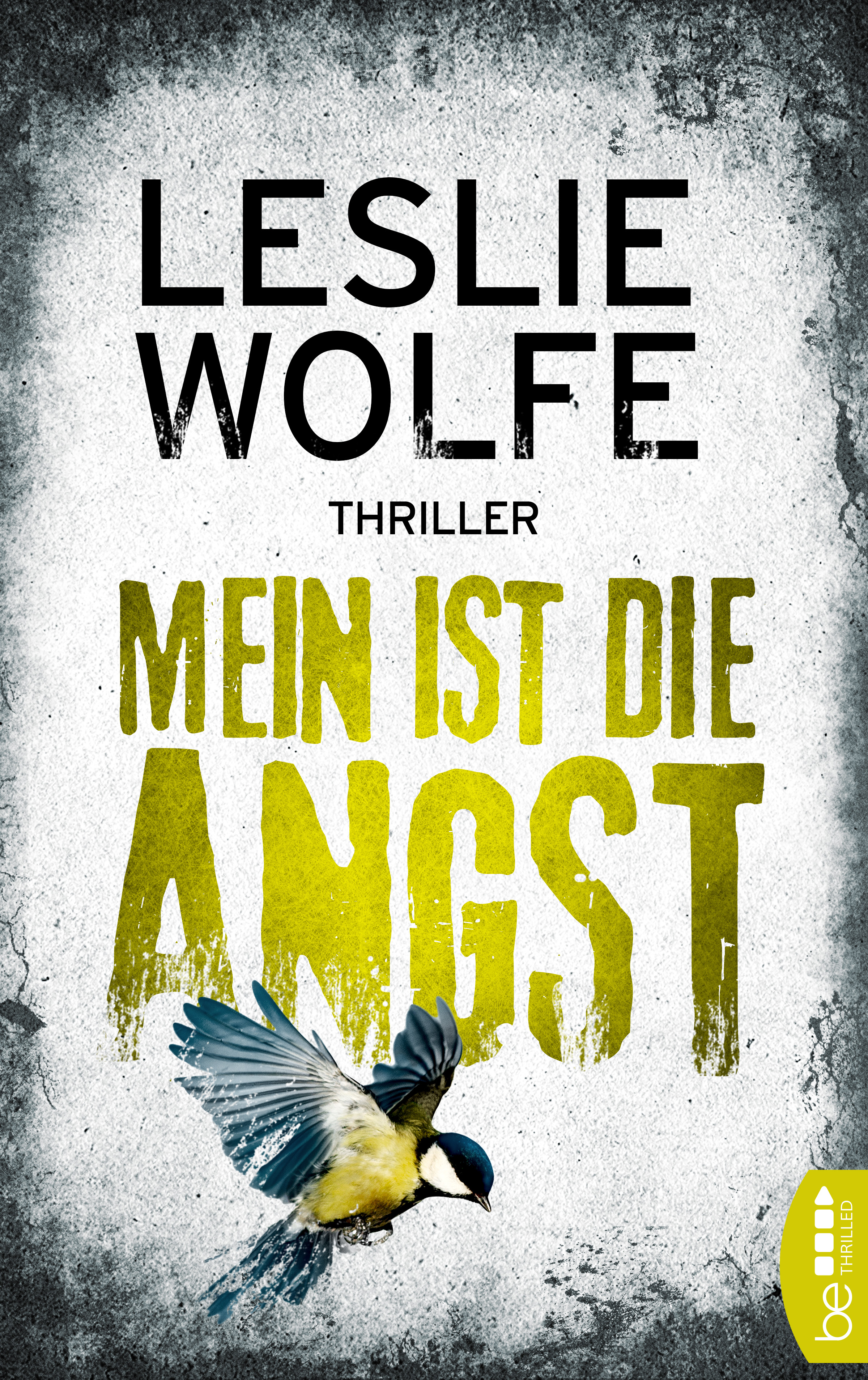 Mein ist die Angst - Leslie Wolfe - E-Book