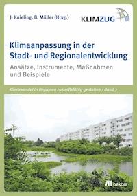 Klimaanpassung in der Stadt- und Regionalentwicklung - Bernhard Müller - E-Book