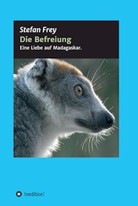 Die Befreiung - Stefan Frey - E-Book