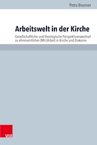 Arbeitswelt in der Kirche - Petra Brunner - E-Book