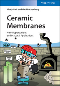 Ceramic Membranes - Vitaly Gitis - E-Book