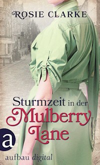 Sturmzeit in der Mulberry Lane - Rosie Clarke - E-Book