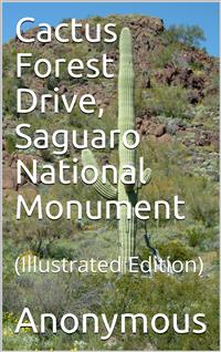 Cactus Forest Drive, Saguaro National Monument - anonymous - E-Book