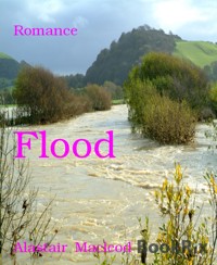 Flood - alastair macleod - E-Book