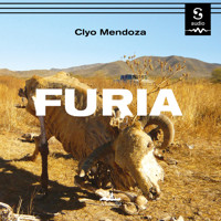 Furia - Clyo Mendoza Herrera - Hörbuch