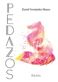 Pedazos - David Fernández Reyes - E-Book