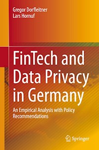 FinTech and Data Privacy in Germany - Gregor Dorfleitner - E-Book